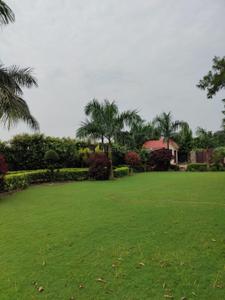 Image of 9800 Sq.ft 3 BHK Farm House for sale in Sikanderpur, Greater Noida for Rs. 8450000