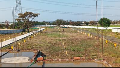 Residential Plot