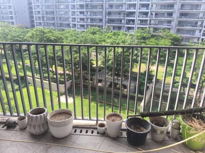 Balcony Image of 2800 Sq.ft 4 BHK Apartment / Flat for sale in Ireo Victory Valley, Sector 67 Gurgaon for Rs. 57000000