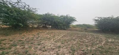Image of 19000 Sq.ft Residential Plot / Land for sale in Lothal, Ahmedabad for Rs. 47500000