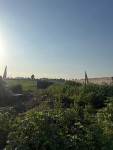 Image of 966 Sq.ft Residential Plot / Land for sale in Bhesan, Surat for Rs. 5475000