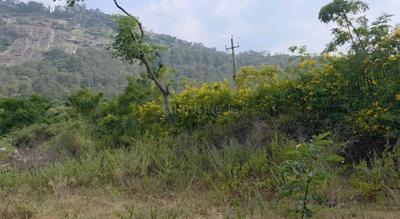 Image of 8712 Sq.ft Residential Plot / Land for sale in Nandi Hills, Chikballapur District for Rs. 20000000