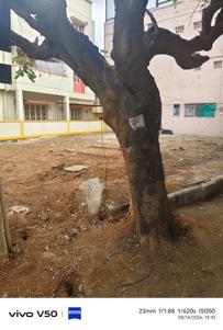 Image of 1350 Sq.ft Residential Plot / Land for sale in Sahakara Nagar, Bengaluru for Rs. 39150000