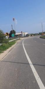 Image of 1000 Sq.ft Residential Plot / Land for sale in Maniram, Gorakhpur for Rs. 521000