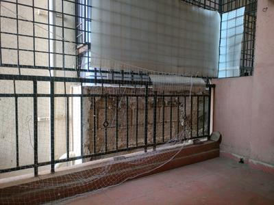Living Room Image of 1250 Sq.ft 2 BHK Apartment / Flat for rent in Brookefield Bengaluru for Rs. 39000