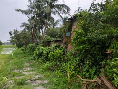 Golden city 2 Sonarpur plot Plot View 1