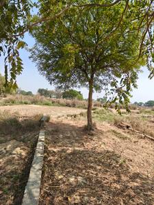 Image of 1000 Sq.ft Residential Plot / Land for sale in Jhalwa, Allahabad for Rs. 1445000