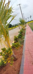 Image of 165 Sq.ft Residential Plot / Land for sale in Penamaluru, Vijayawada for Rs. 4785000