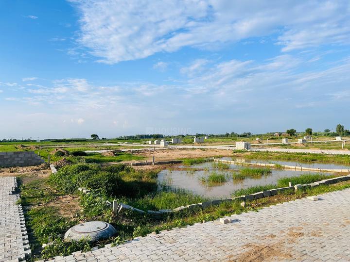 Skywood Main Image 1