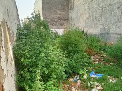 Image of 1350 Sq.ft Residential Plot / Land for sale in Bhondsi, Gurgaon for Rs. 4725000