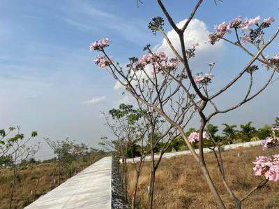 Image of 600 Sq.ft Residential Plot / Land for sale in Aranya City Of Woodland, Pacheda 1, Raipur for Rs. 501000