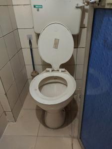 Bathroom Image of 532 Sq.ft 1 BHK Apartment / Flat for sale in Green Fields CHS, Andheri East Mumbai for Rs. 12400000