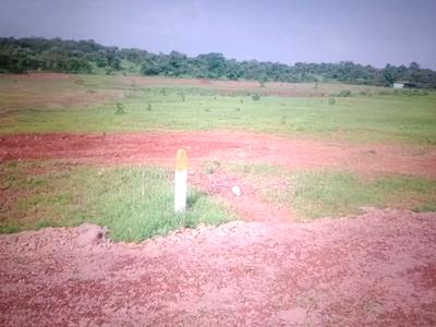 Image of 1089 Sq.ft Residential Plot / Land for sale in Panvel, Navi Mumbai for Rs. 485000