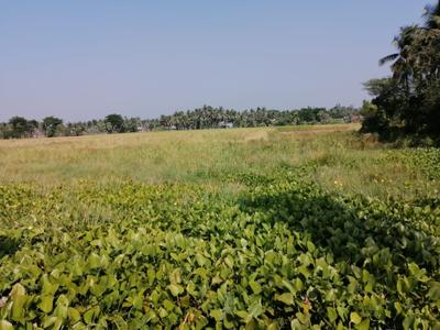 Image of 2500 Sq.ft Residential Plot / Land for sale in Brajalalchak, Haldia for Rs. 31000000