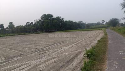 Image of 1200 Sq.ft Residential Plot / Land for sale in Sampatchak, Patna for Rs. 3600000