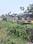 Dasrath Pally, Bhanu Nagar Plot View 2