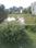 Fairsky Plot View 2