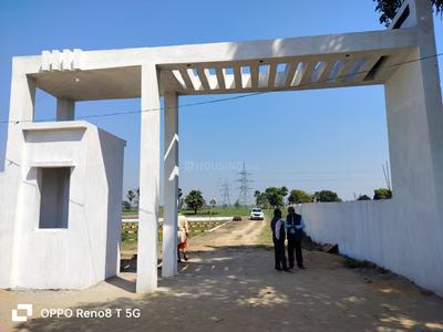 Get it society Plot View 2