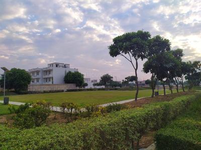 Image of 350 Sq.ft Residential Plot / Land for sale in DLF Hyde Park Plot, New Chandigarh, Chandigarh for Rs. 49000000