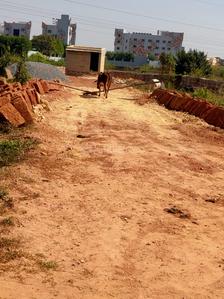 Image of 1500 Sq.ft Residential Plot / Land for sale in Patharagadia, Bhubaneswar for Rs. 2250000