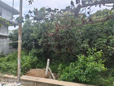 Image of 1855 Sq.ft Residential Plot / Land for sale in Harapanahalli, Bengaluru for Rs. 7791000