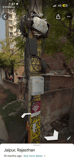 Manglam Rangoli Greens Main Image 1