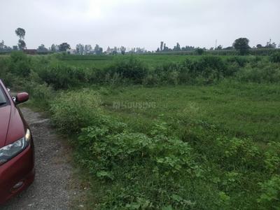Central Hope Town Plot View 2