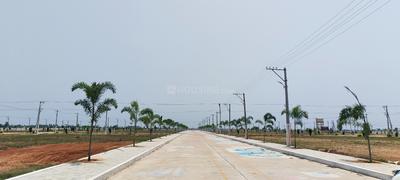 Image of 1980 Sq.ft Residential Plot / Land for sale in Allipuram, Nellore for Rs. 3025000