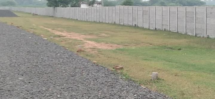 Nenmeli, Chengalpattu Main Image 1