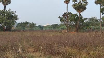Image of 1800 Sq.ft Residential Plot / Land for sale in Vaddeswaram, Guntur for Rs. 8000000