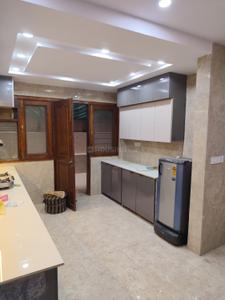 Hall Image of 6000 Sq.ft 7 BHK Independent House for rent in Sector 23 Noida for Rs. 250000