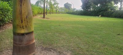 Image of 4392 Sq.ft Residential Plot / Land for sale in Ramnagar, Nainital for Rs. 10000000