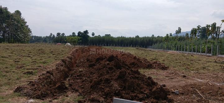 Pendurthi Main Image 1