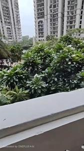 Balcony Image of 1753 Sq.ft 3 BHK Apartment / Flat for rent in DLF Capital Greens Phase 1 And 2, Karampura New Delhi for Rs. 65000