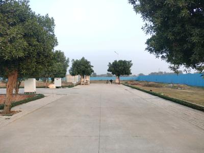 Soha Neal City Internal Roads 1