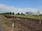 Wagholi Plot View 2