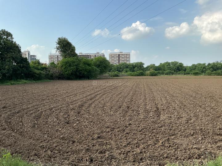 Sherkhi Main Image 1