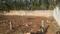 Ullal upnagar Plot View 2