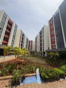 3 BHK Flat