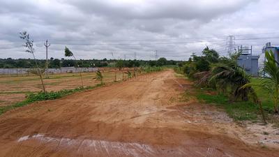 Tirumala Colony Plot View 2