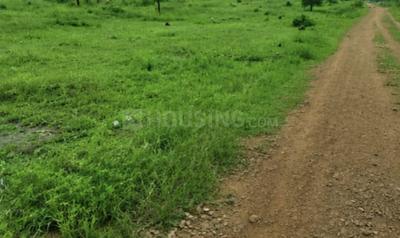 Image of 1200 Sq.ft Residential Plot / Land for sale in Sundarpada, Bhubaneswar for Rs. 582000