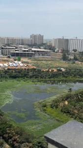 Balcony Image of 1350 Sq.ft 2 BHK Apartment / Flat for rent in Electronic City Bengaluru for Rs. 46000