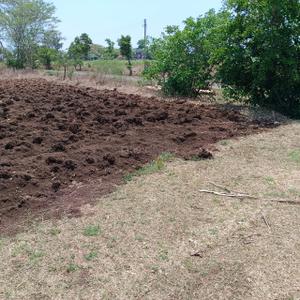 Image of 273 Sq.ft Residential Plot / Land for sale in Gadhinglaj, Kolhapur for Rs. 2600000