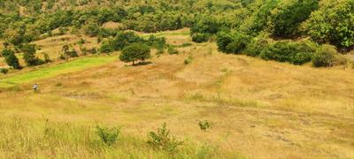 Image of 1000 Sq.ft Residential Plot / Land for sale in Bhor, Pune for Rs. 172000