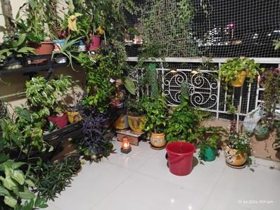 Balcony Image of 550 Sq.ft 1 BHK Apartment / Flat for sale in GK Royale Hills, Ravet Pune for Rs. 5500000