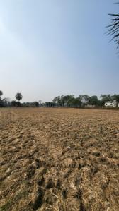 Sakri More Images 3