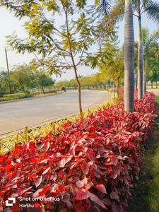 Floor Plan Image of 1500 Sq.ft Residential Plot / Land for sale in Wallfort Parkview, Datrenga Raipur for Rs. 3200000