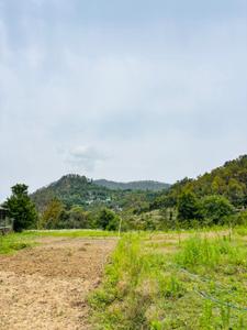 Image of 1320 Sq.ft Residential Plot / Land for sale in Mukteshwar, Nainital for Rs. 14900000