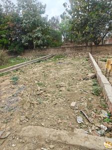 Image of 1200 Sq.ft Residential Plot / Land for sale in Jhalwa, Allahabad for Rs. 5100000