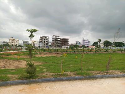 SGD Elite Plot View 2